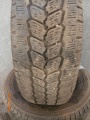 SZ0239 (2)
